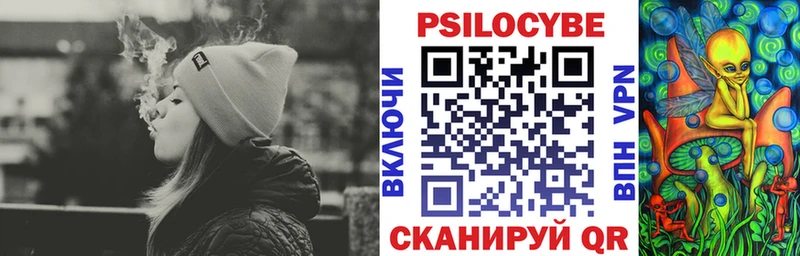 Купить  Баймак  Галлюциногенные грибы Cubensis 
